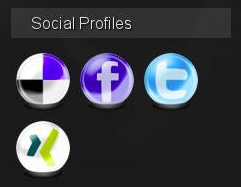 Social Profiles Sidebar Widget