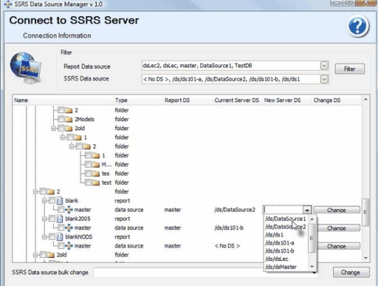 SSRS Data Source Manager