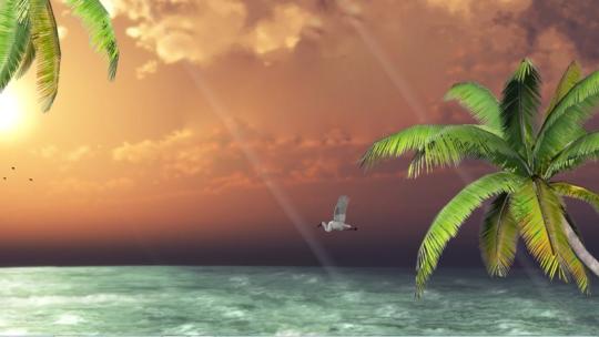 Sunset beach 3D