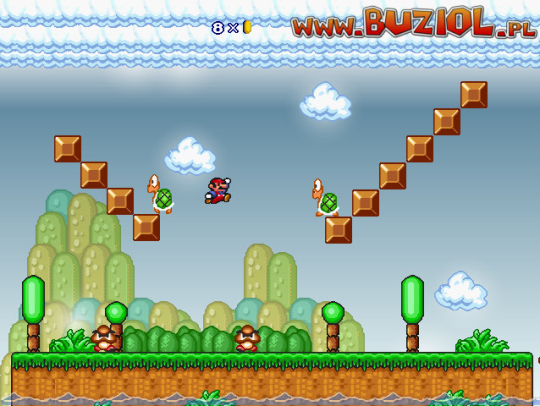 Super Mario Playgrounds 1