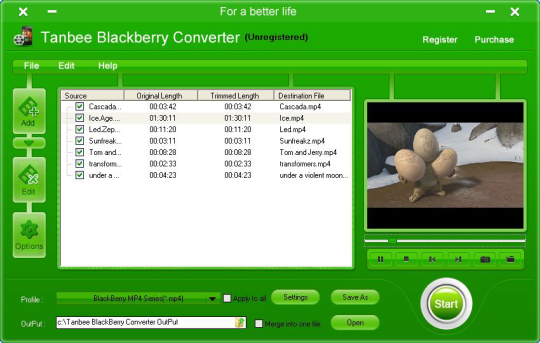 Tanbee BlackBerry Converter