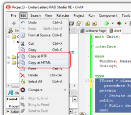 TMS IDE Rich Clip for (C++Builder 2011/C++Builder XE)