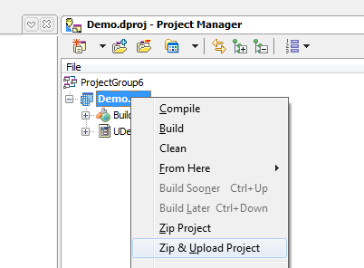TMS Project Manager (Delphi 2010)