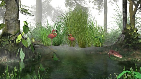 Tropical Rainforest 3D
