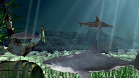 Underwater worlds 3D