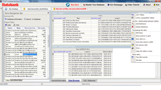 Visual Database Analyzer
