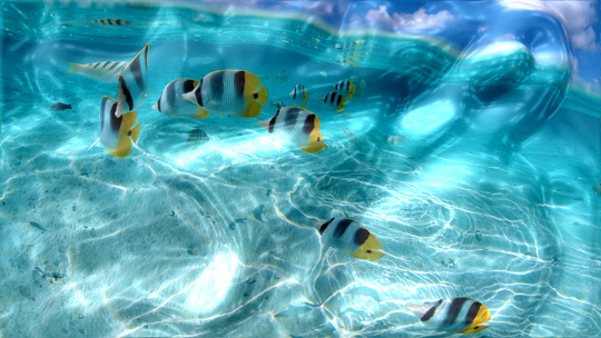 Watery Desktop 3D Animated Wallpaper & Screensaver