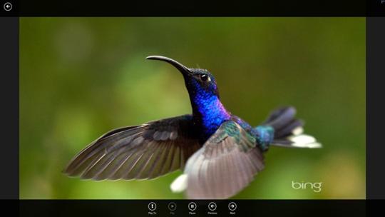 Web Image Viewer for Windows 8