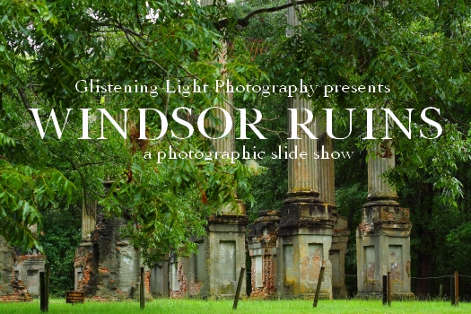 Windsor Ruins of Mississippi Screen Saver
