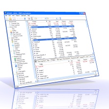 WMS Log Analyzer Professional Edition