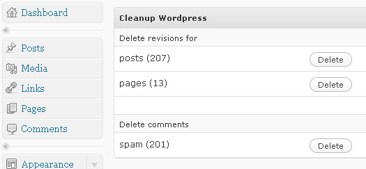 Wordpress Cleanup