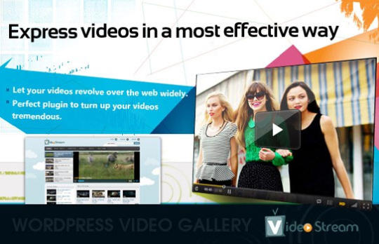 WordPress Video Gallery