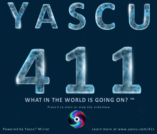 Yascu-411