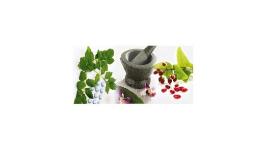 Your herbal medicine cabinet